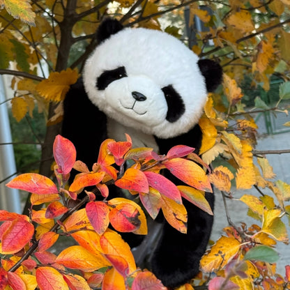 CalmHugs™ – Das gewichtete Kuscheltier